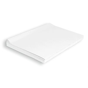 Tissue Paper WHITE ~PKG 24