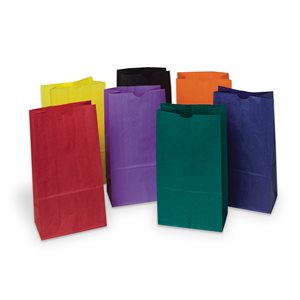 Paper Bags #6 Assorted ~PKG 28