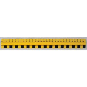 Ruler Yellow Plastic Primary ~EACH