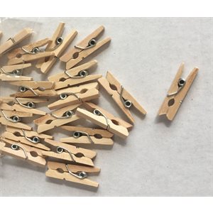 Clothespins Mini Natural Col w / Spring ~PKG 50