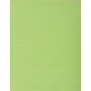 Bristol Board EMERALD GREEN (Light Green) 8.5x11 ~PKG 96
