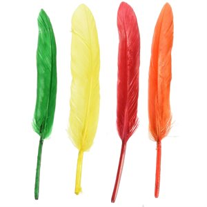 Quill Feathers 17cm ~PKG 29