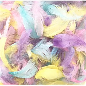 Feathers PASTEL 8gr ~EACH