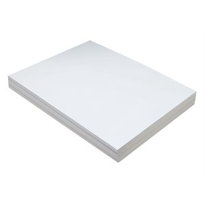 Tag Heavy Weight, WHITE 9x12 ~PKG 100