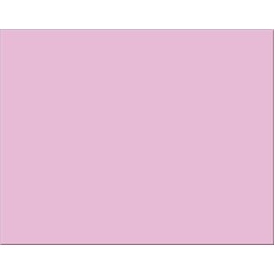 Poster Board 4 ply PINK ~CASE 100