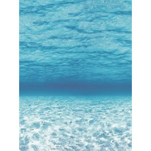 Fadeless Roll UNDER THE SEA 48"x 12' ~EACH