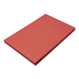 Construction Paper RED 12x18 ~PKG 100