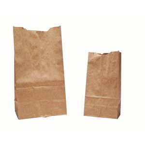 Brown Paper Bags Small #2 ~CASE 500