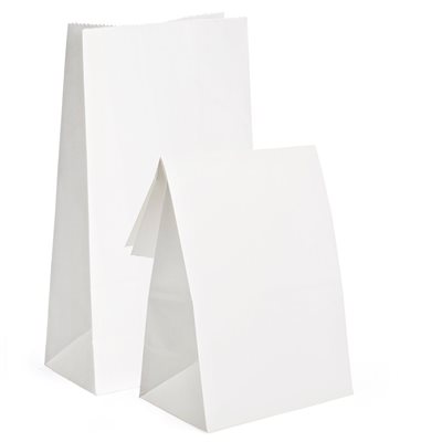 Paper Bags WHITE #6 ~PKG 100