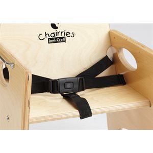Chairries Seat Belt Kit ~EACH