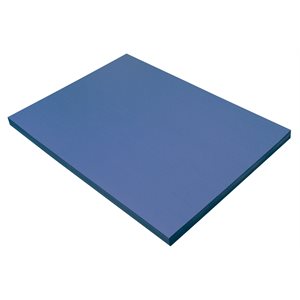 Construction Paper BLUE 12x18 ~PKG 100