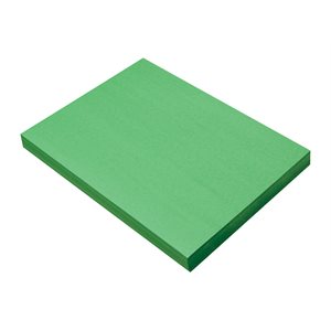 Construction Paper HOLIDAY GREEN 9x12 ~PKG 100