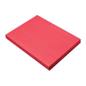 Construction Paper HOLIDAY RED 9x12 ~PKG 100