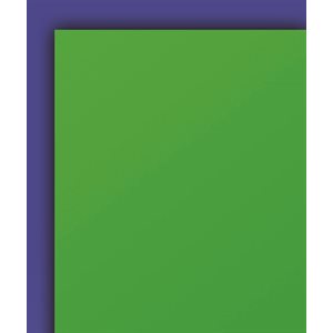 Bristol Board KELLY GREEN (Br Green) 9x12 ~PKG 96