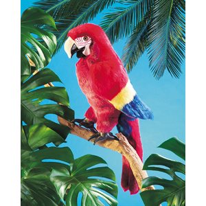 Puppet Scarlet Macaw ~EACH
