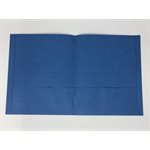 Twin Pocket Portfolios LT BLUE ~BOX 25