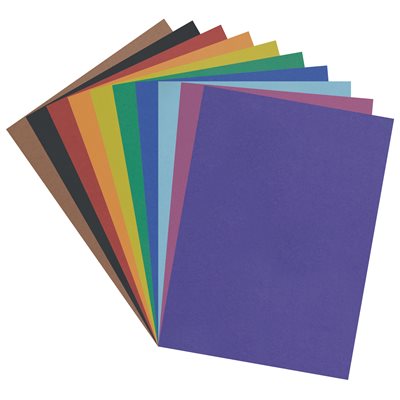 Poster Board 4 ply Assorted ~CASE 100