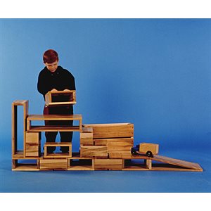 Maple Hollow Blocks (2 boxes) ~SET 40