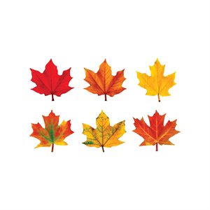 Classic Accents Maple Leaves Assorted ~PKG 36